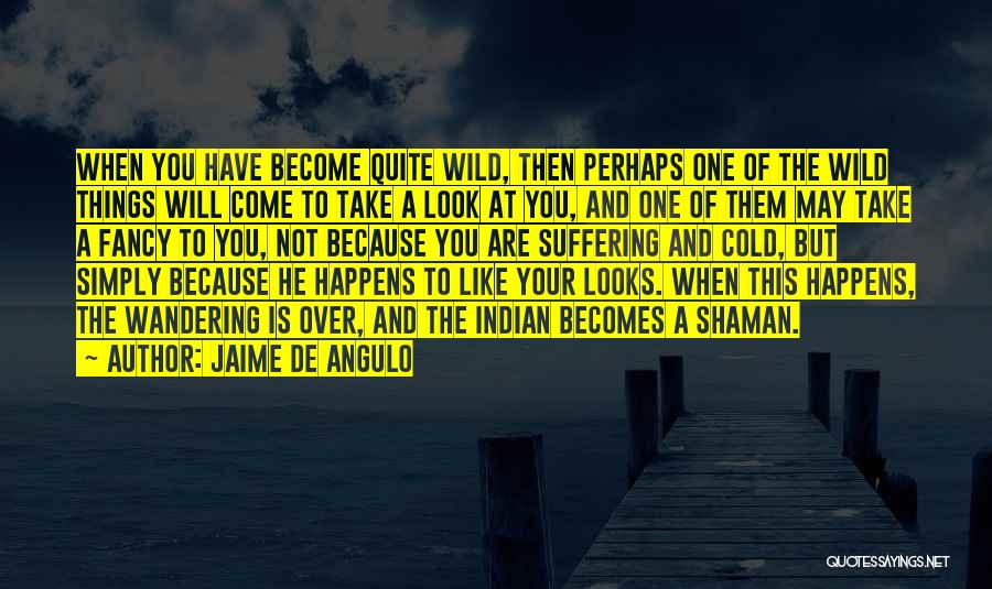 Wild Things Are Quotes By Jaime De Angulo