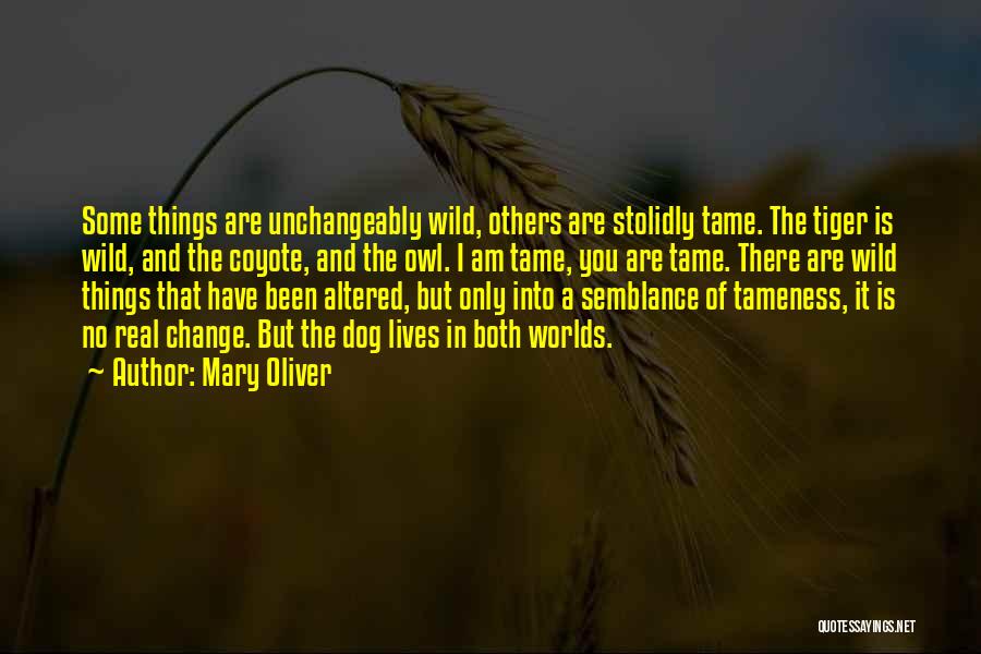Wild Things Quotes By Mary Oliver