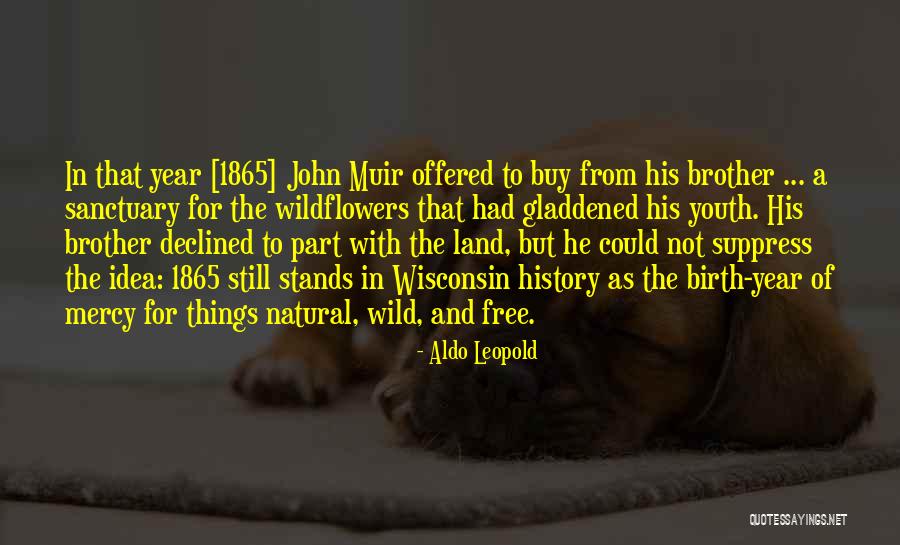 Wild Youth Quotes By Aldo Leopold Wild Youth Quotes By Aldo Leopold