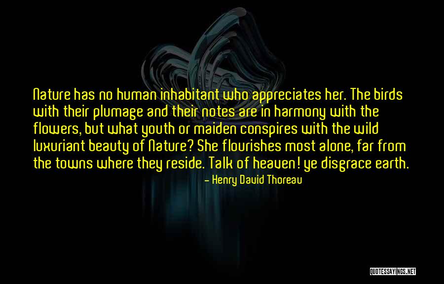 Wild Youth Quotes By Henry David Thoreau Wild Youth Quotes By Henry David Thoreau