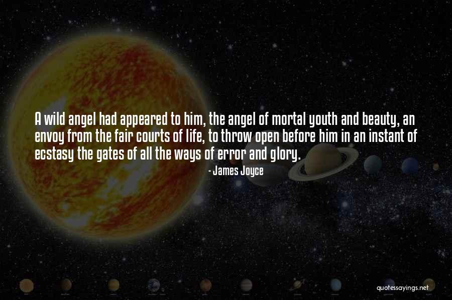 Wild Youth Quotes By James Joyce Wild Youth Quotes By James Joyce