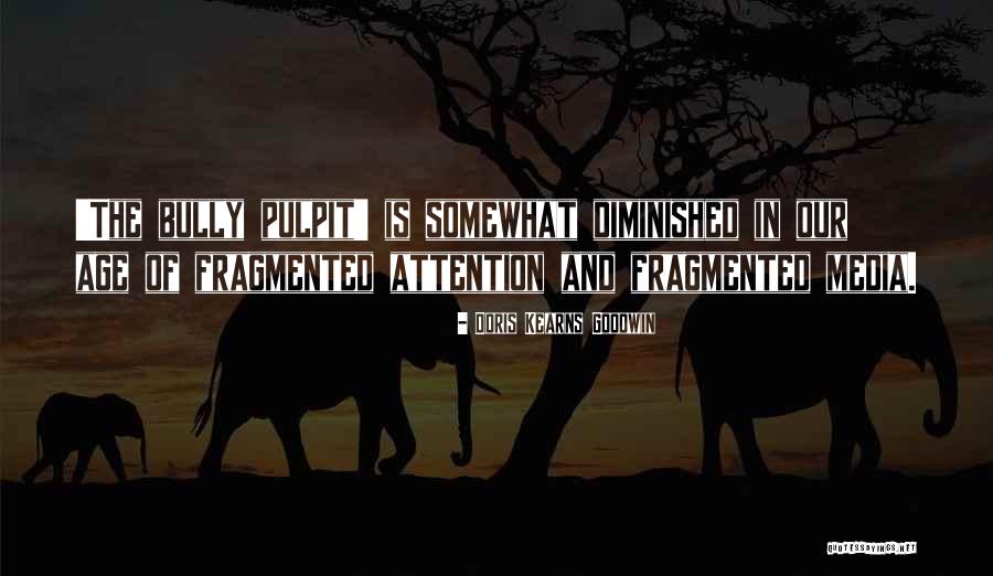 Wildberg Enterprises Quotes By Doris Kearns Goodwin Wildberg Enterprises Quotes By Doris Kearns Goodwin