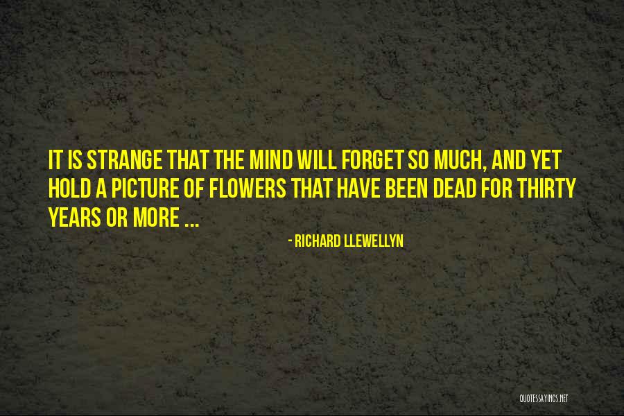 Wildbore Vets Quotes By Richard Llewellyn Wildbore Vets Quotes By Richard Llewellyn