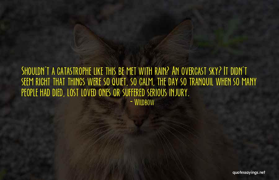 Wildbow Quotes 658130 Wildbow Quotes 658130