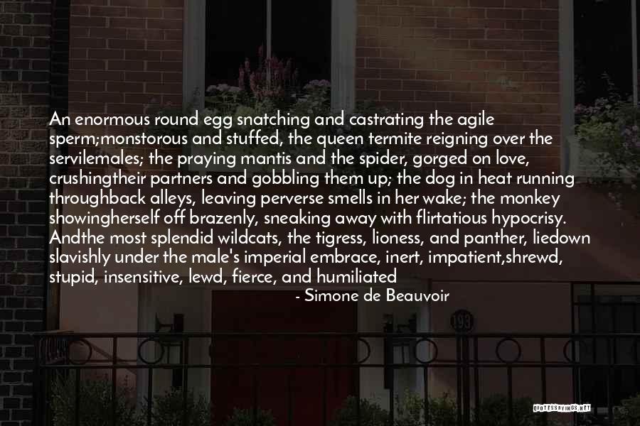Wildcats Quotes By Simone De Beauvoir Wildcats Quotes By Simone De Beauvoir