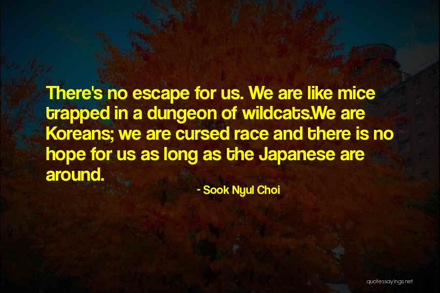 Wildcats Quotes By Sook Nyul Choi