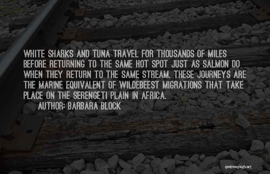 Wildebeest Quotes By Barbara Block