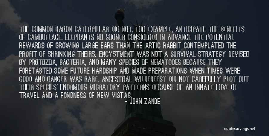 Wildebeest Quotes By John Zande