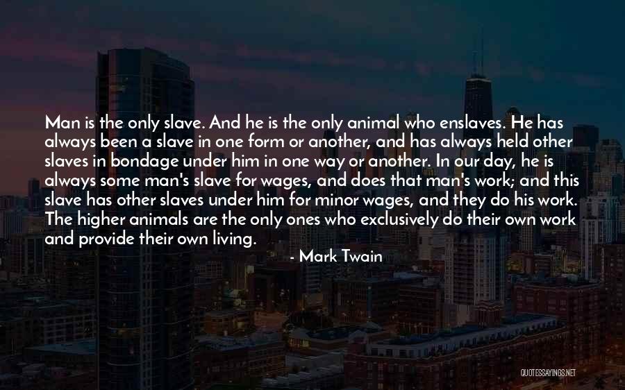 Wildeman Excavation Quotes By Mark Twain Wildeman Excavation Quotes By Mark Twain