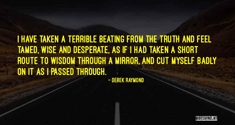 Wilden Pump Quotes By Derek Raymond Wilden Pump Quotes By Derek Raymond