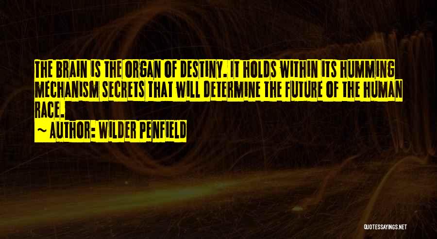 Wilder Penfield Quotes 347618