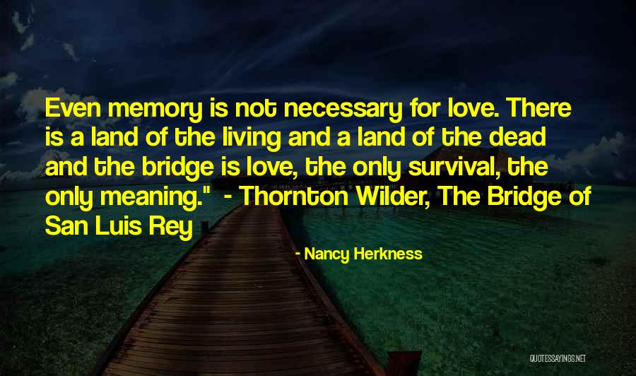 Wilder Thornton Quotes By Nancy Herkness