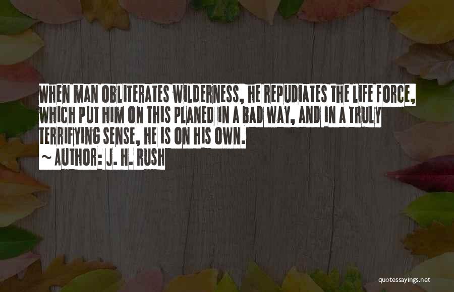 Wilderness And Life Quotes By J. H. Rush