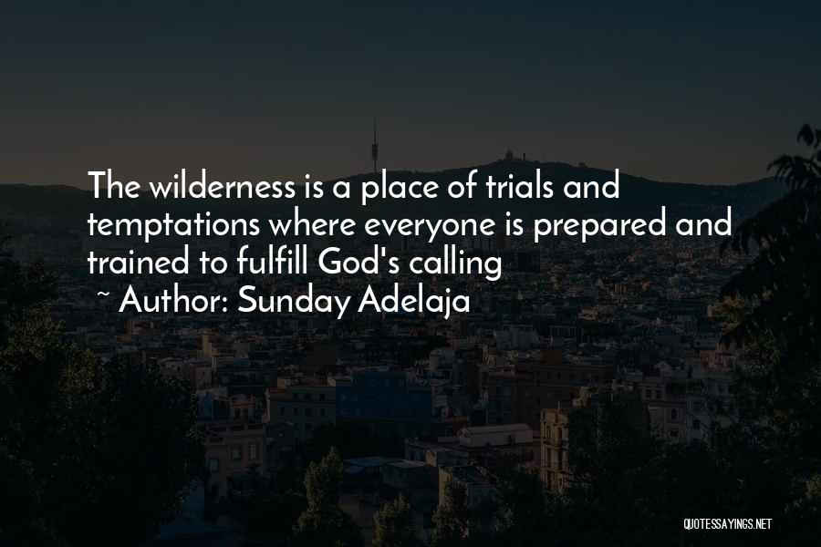 Wilderness And Life Quotes By Sunday Adelaja