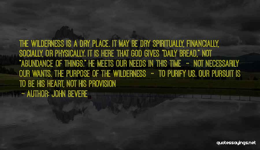 Wilderness God Quotes By John Bevere