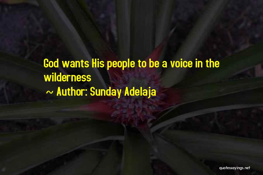 Wilderness God Quotes By Sunday Adelaja
