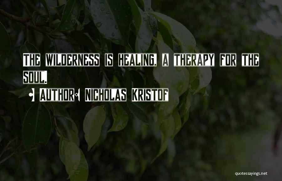 Wilderness Therapy Quotes By Nicholas Kristof