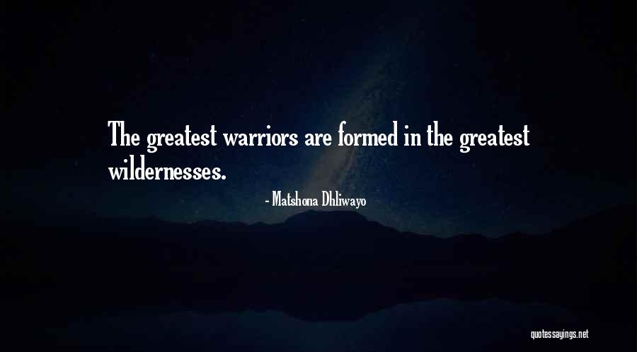 Wildernesses Quotes By Matshona Dhliwayo Wildernesses Quotes By Matshona Dhliwayo