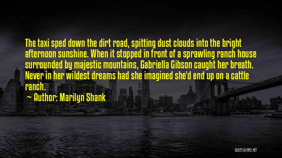 Wildest Dreams Quotes By Marilyn Shank