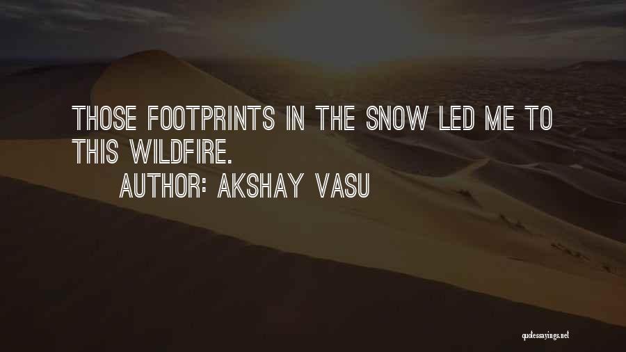 Wildfire Quotes By Akshay Vasu