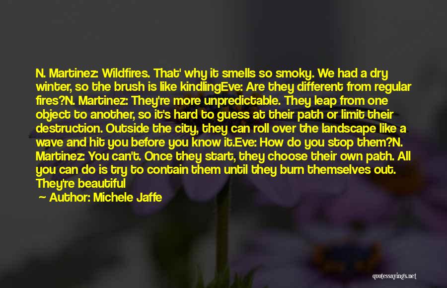 Wildfires Quotes By Michele Jaffe
