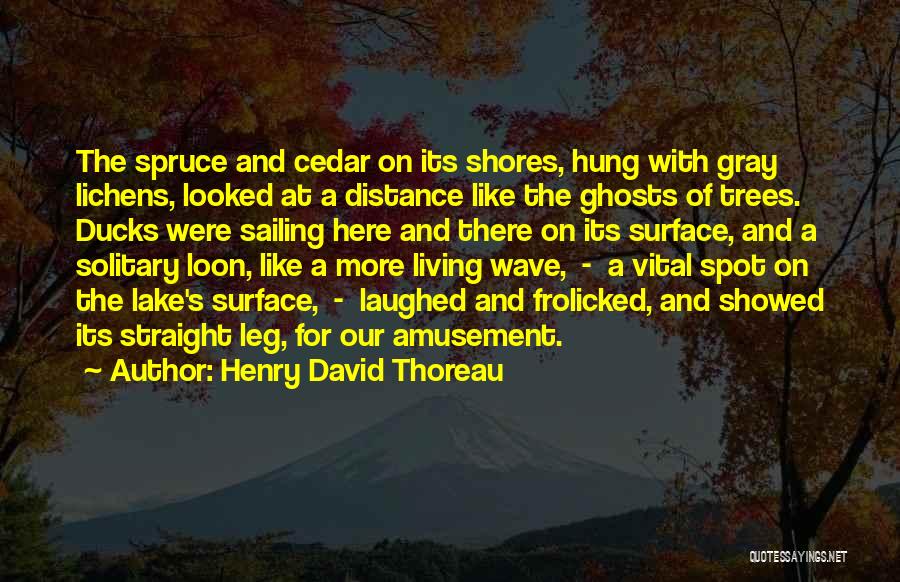 Wildlife And Nature Quotes By Henry David Thoreau