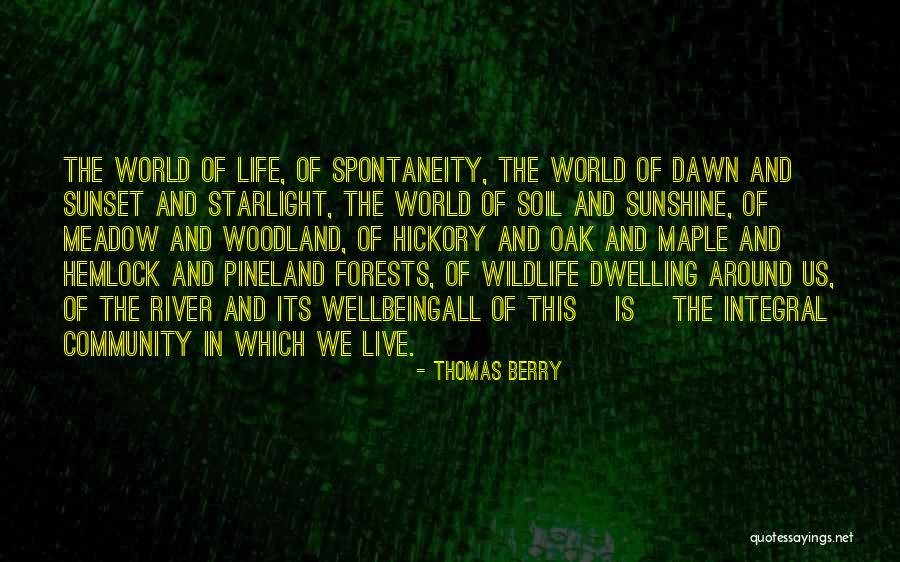 Wildlife And Nature Quotes By Thomas Berry