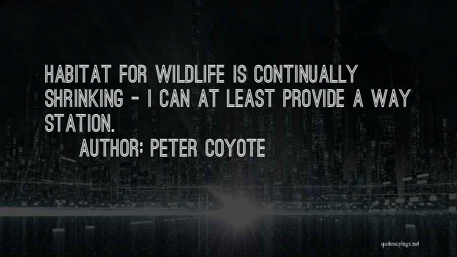 Wildlife Habitat Quotes By Peter Coyote