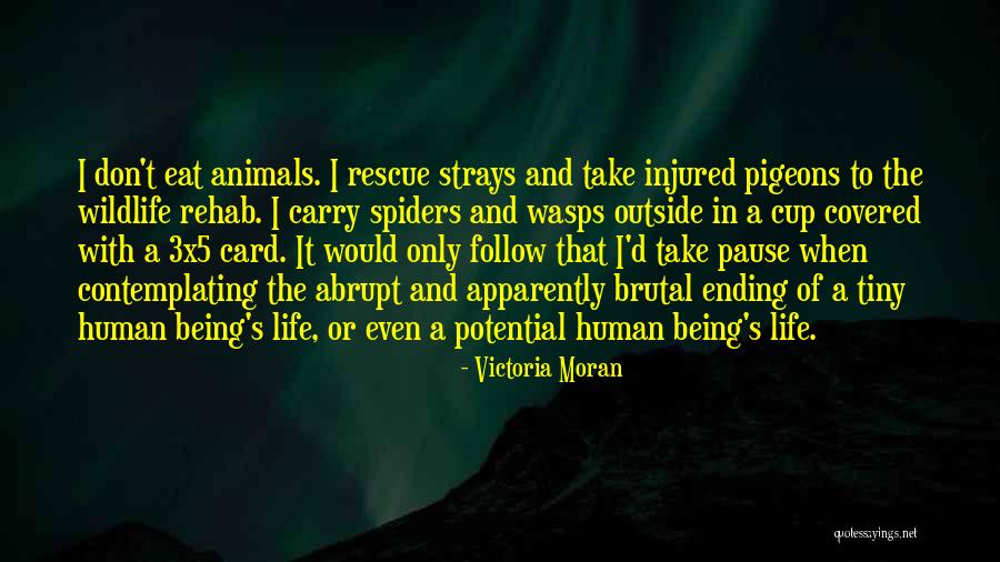 Wildlife Rescue Quotes By Victoria Moran Wildlife Rescue Quotes By Victoria Moran