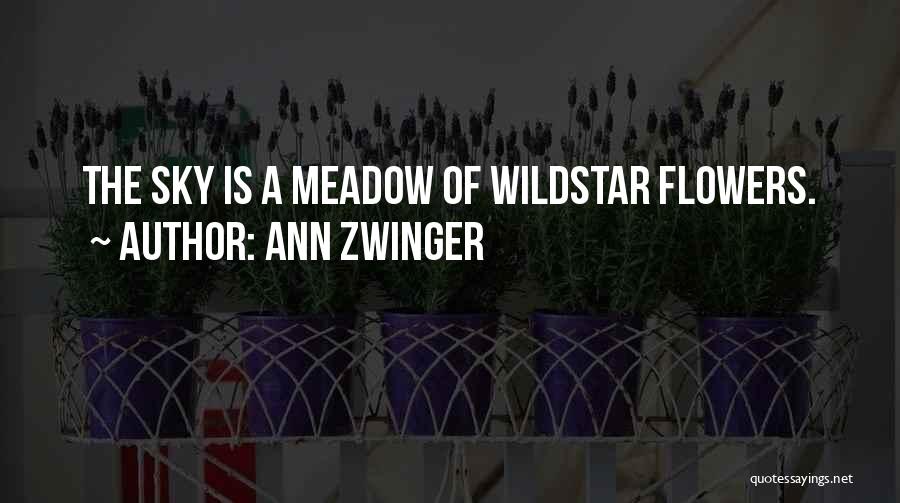 Wildstar Quotes By Ann Zwinger