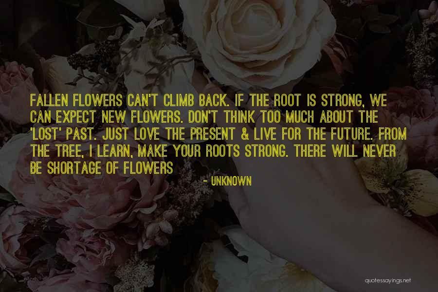 Wildstyles Quotes By Unknown Wildstyles Quotes By Unknown