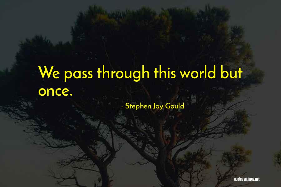 Wildstylez Soundcloud Quotes By Stephen Jay Gould Wildstylez Soundcloud Quotes By Stephen Jay Gould