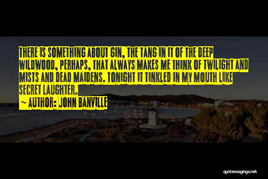 Wildwood Quotes By John Banville