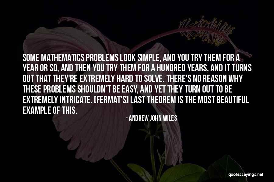 Wiles Quotes By Andrew John Wiles