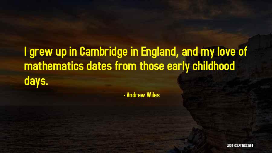 Wiles Quotes By Andrew Wiles