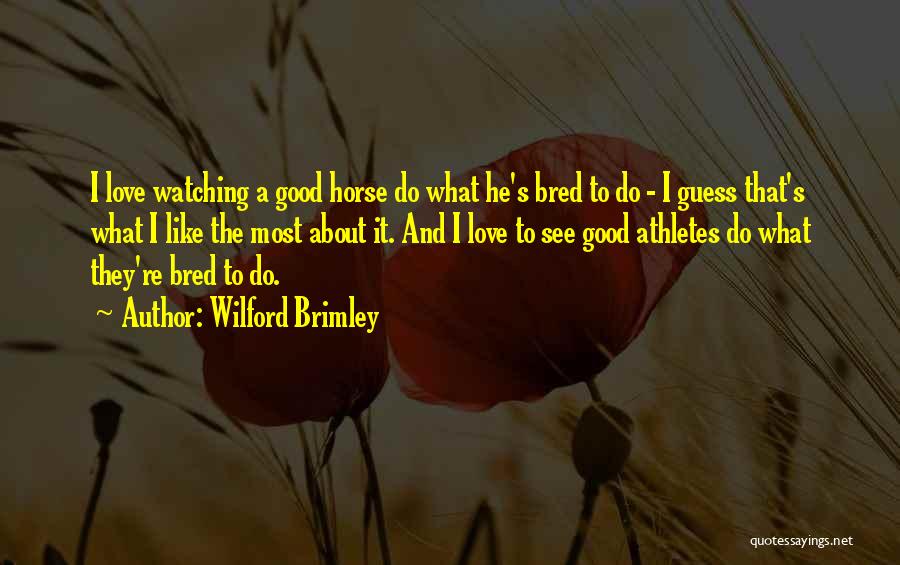 Wilford Brimley Quotes 900222