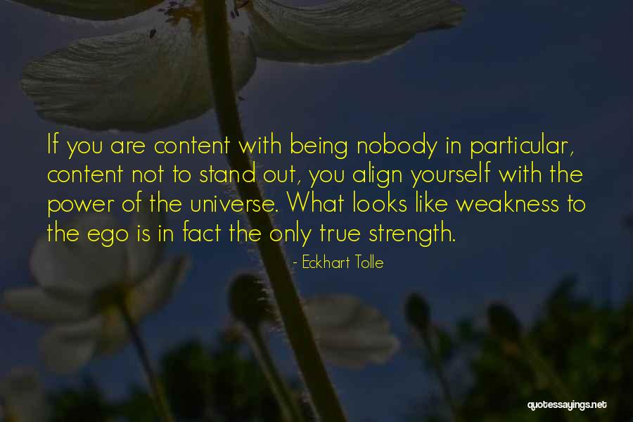 Wilharms Quotes By Eckhart Tolle Wilharms Quotes By Eckhart Tolle