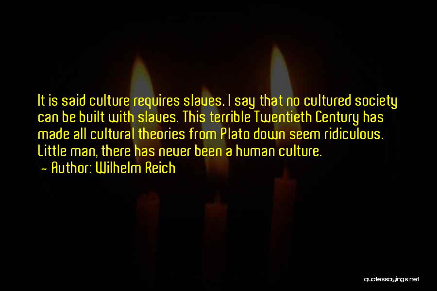 Wilhelm Reich Quotes 317058