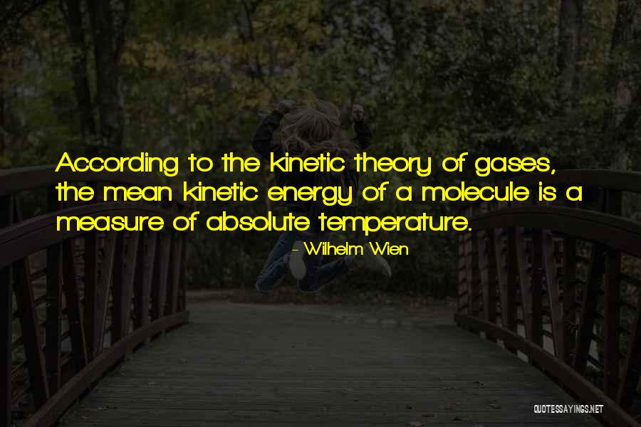 Wilhelm Wien Quotes 1807446