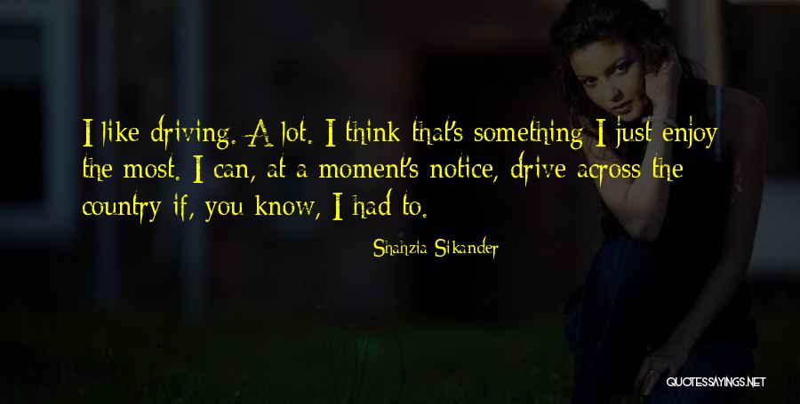 Wilian Levis Quotes By Shahzia Sikander Wilian Levis Quotes By Shahzia Sikander