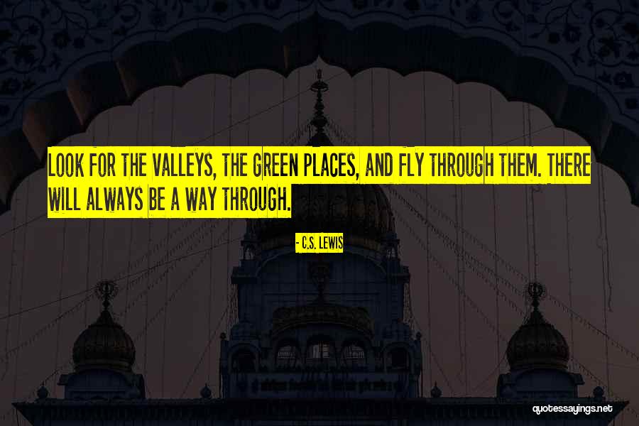 Will Always Be There Quotes By C.S. Lewis