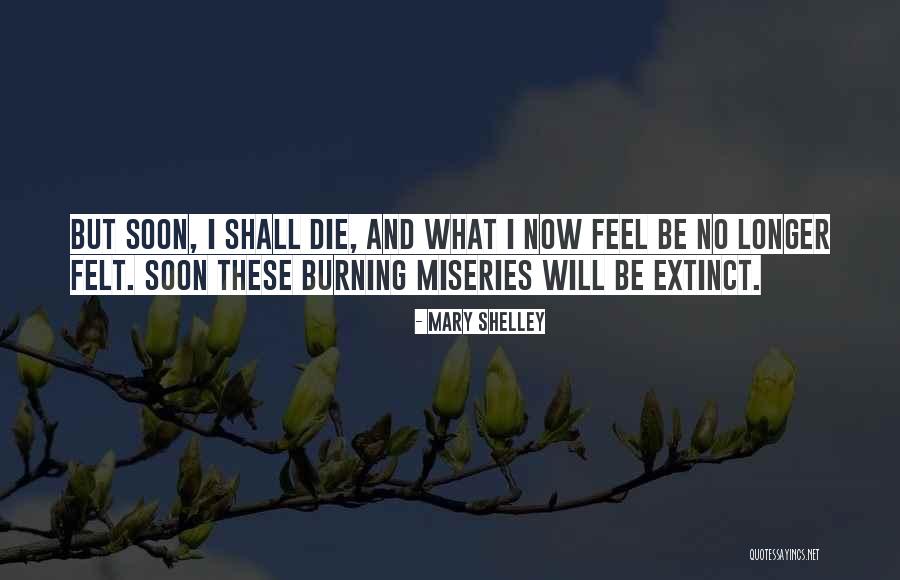 Will Die Soon Quotes By Mary Shelley