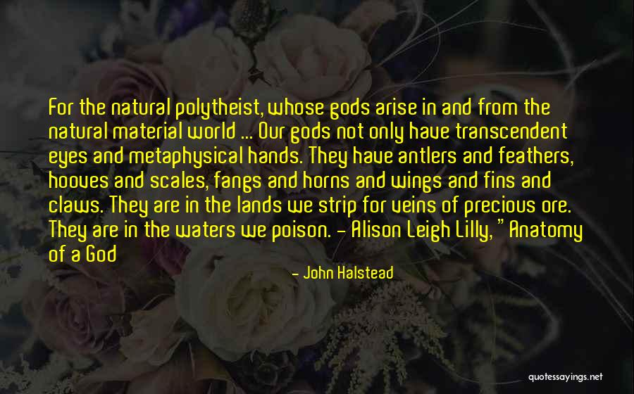 Will Halstead Quotes By John Halstead Will Halstead Quotes By John Halstead