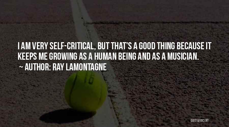 Will Lamontagne Quotes By Ray Lamontagne