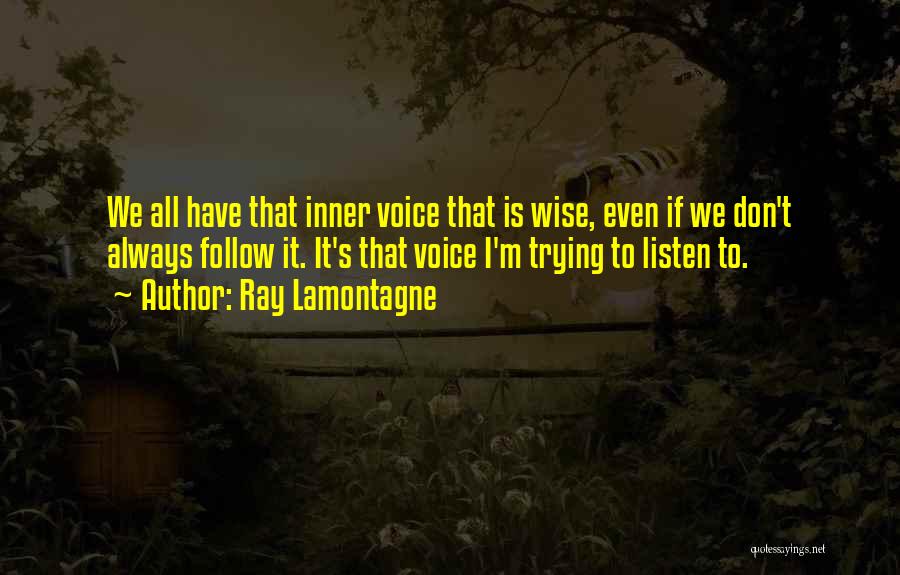 Will Lamontagne Quotes By Ray Lamontagne