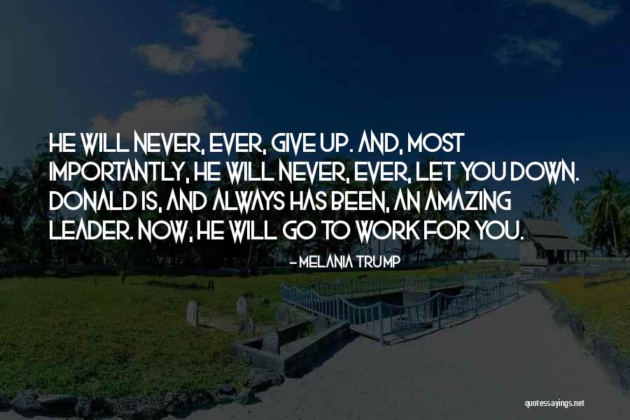 Will Never Give Up Quotes By Melania Trump