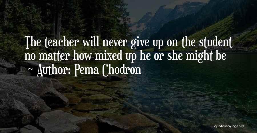 Will Never Give Up Quotes By Pema Chodron