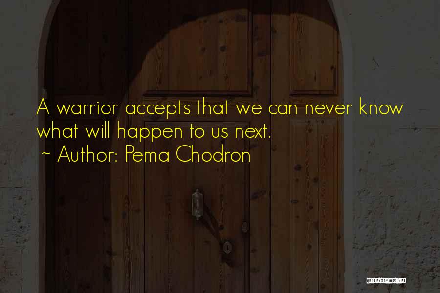 Will Never Happen Quotes By Pema Chodron