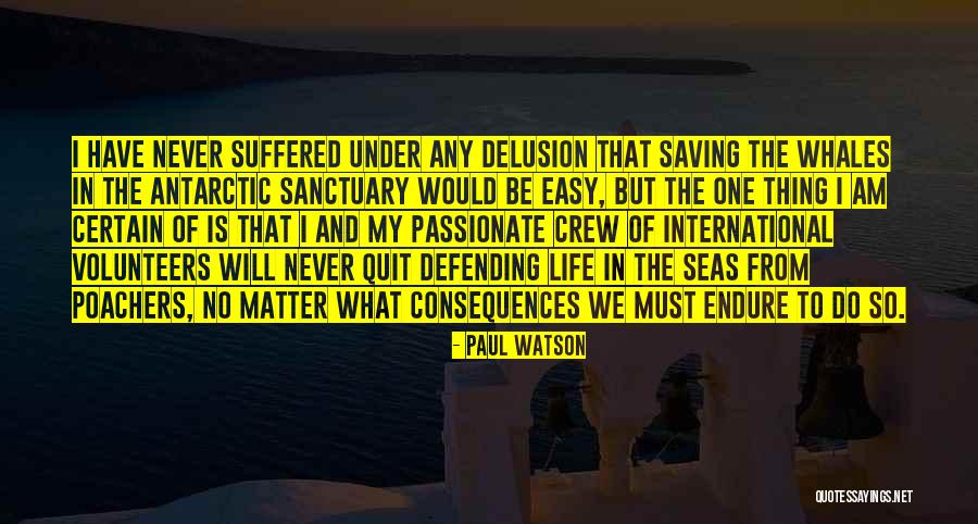 Will Never Quit Quotes By Paul Watson Will Never Quit Quotes By Paul Watson