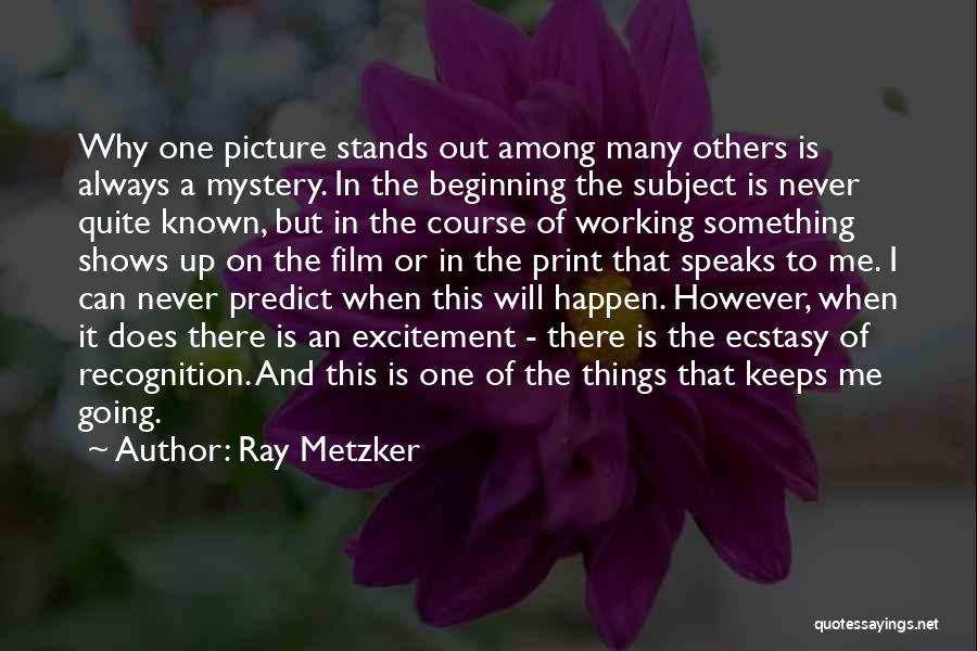Will Never Quit Quotes By Ray Metzker